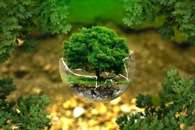 Premio Impresa Ambiente - Foto di AndreasAux da Pixabay 