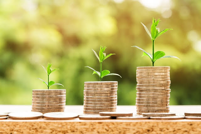 Relazione investimenti BEI - Foto di Nattanan Kanchanaprat da Pixabay 